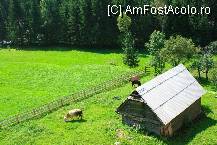 [P29] Pajistea din apropiere, de un verde ireal » foto by mirelab
 - 
<span class="allrVoted glyphicon glyphicon-heart hidden" id="av112357"></span>
<a class="m-l-10 hidden" id="sv112357" onclick="voting_Foto_DelVot(,112357,6845)" role="button">șterge vot <span class="glyphicon glyphicon-remove"></span></a>
<a id="v9112357" class=" c-red"  onclick="voting_Foto_SetVot(112357)" role="button"><span class="glyphicon glyphicon-heart-empty"></span> <b>LIKE</b> = Votează poza</a> <img class="hidden"  id="f112357W9" src="/imagini/loader.gif" border="0" /><span class="AjErrMes hidden" id="e112357ErM"></span>