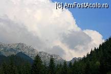 [P32] ...daca nu va convinsesem... » foto by mirelab
 - 
<span class="allrVoted glyphicon glyphicon-heart hidden" id="av112360"></span>
<a class="m-l-10 hidden" id="sv112360" onclick="voting_Foto_DelVot(,112360,6845)" role="button">șterge vot <span class="glyphicon glyphicon-remove"></span></a>
<a id="v9112360" class=" c-red"  onclick="voting_Foto_SetVot(112360)" role="button"><span class="glyphicon glyphicon-heart-empty"></span> <b>LIKE</b> = Votează poza</a> <img class="hidden"  id="f112360W9" src="/imagini/loader.gif" border="0" /><span class="AjErrMes hidden" id="e112360ErM"></span>