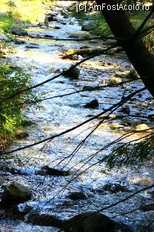 [P37]  -- <small>// FĂRĂ DESCRIERE</small> » foto by mirelab
 - 
<span class="allrVoted glyphicon glyphicon-heart hidden" id="av112367"></span>
<a class="m-l-10 hidden" id="sv112367" onclick="voting_Foto_DelVot(,112367,6845)" role="button">șterge vot <span class="glyphicon glyphicon-remove"></span></a>
<a id="v9112367" class=" c-red"  onclick="voting_Foto_SetVot(112367)" role="button"><span class="glyphicon glyphicon-heart-empty"></span> <b>LIKE</b> = Votează poza</a> <img class="hidden"  id="f112367W9" src="/imagini/loader.gif" border="0" /><span class="AjErrMes hidden" id="e112367ErM"></span>