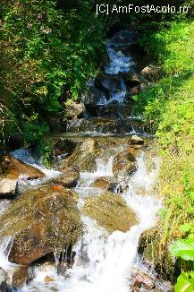 [P45] Pe aceleasi carari de munte » foto by mirelab
 - 
<span class="allrVoted glyphicon glyphicon-heart hidden" id="av112380"></span>
<a class="m-l-10 hidden" id="sv112380" onclick="voting_Foto_DelVot(,112380,6845)" role="button">șterge vot <span class="glyphicon glyphicon-remove"></span></a>
<a id="v9112380" class=" c-red"  onclick="voting_Foto_SetVot(112380)" role="button"><span class="glyphicon glyphicon-heart-empty"></span> <b>LIKE</b> = Votează poza</a> <img class="hidden"  id="f112380W9" src="/imagini/loader.gif" border="0" /><span class="AjErrMes hidden" id="e112380ErM"></span>