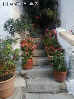 [P14]  -- <small>// FĂRĂ DESCRIERE</small> » foto by Cristian_h
 - 
<span class="allrVoted glyphicon glyphicon-heart hidden" id="av1498948"></span>
<a class="m-l-10 hidden" id="sv1498948" onclick="voting_Foto_DelVot(,1498948,6846)" role="button">șterge vot <span class="glyphicon glyphicon-remove"></span></a>
<a id="v91498948" class=" c-red"  onclick="voting_Foto_SetVot(1498948)" role="button"><span class="glyphicon glyphicon-heart-empty"></span> <b>LIKE</b> = Votează poza</a> <img class="hidden"  id="f1498948W9" src="/imagini/loader.gif" border="0" /><span class="AjErrMes hidden" id="e1498948ErM"></span>