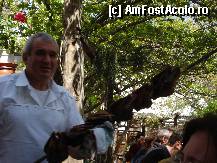 [P24] Stelios de le Stelios Theologos , Ileana ce barbat ai pierdut... » foto by ionescunic
 - 
<span class="allrVoted glyphicon glyphicon-heart hidden" id="av304121"></span>
<a class="m-l-10 hidden" id="sv304121" onclick="voting_Foto_DelVot(,304121,6854)" role="button">șterge vot <span class="glyphicon glyphicon-remove"></span></a>
<a id="v9304121" class=" c-red"  onclick="voting_Foto_SetVot(304121)" role="button"><span class="glyphicon glyphicon-heart-empty"></span> <b>LIKE</b> = Votează poza</a> <img class="hidden"  id="f304121W9" src="/imagini/loader.gif" border="0" /><span class="AjErrMes hidden" id="e304121ErM"></span>