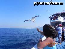 [P50] Biscuitii care trebuiau sa  ne indulceasca plecarea, i-am facut cadou pescarusilor; am  invatat sa facem daruri din suflet in aceasta vacanta minunata... » foto by trandafir 1970*
 - 
<span class="allrVoted glyphicon glyphicon-heart hidden" id="av148117"></span>
<a class="m-l-10 hidden" id="sv148117" onclick="voting_Foto_DelVot(,148117,6854)" role="button">șterge vot <span class="glyphicon glyphicon-remove"></span></a>
<a id="v9148117" class=" c-red"  onclick="voting_Foto_SetVot(148117)" role="button"><span class="glyphicon glyphicon-heart-empty"></span> <b>LIKE</b> = Votează poza</a> <img class="hidden"  id="f148117W9" src="/imagini/loader.gif" border="0" /><span class="AjErrMes hidden" id="e148117ErM"></span>