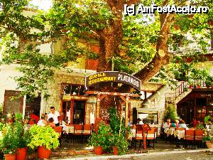 [P02] Restaurant Platanos, Potamia.  » foto by Juno
 - 
<span class="allrVoted glyphicon glyphicon-heart hidden" id="av453200"></span>
<a class="m-l-10 hidden" id="sv453200" onclick="voting_Foto_DelVot(,453200,6854)" role="button">șterge vot <span class="glyphicon glyphicon-remove"></span></a>
<a id="v9453200" class=" c-red"  onclick="voting_Foto_SetVot(453200)" role="button"><span class="glyphicon glyphicon-heart-empty"></span> <b>LIKE</b> = Votează poza</a> <img class="hidden"  id="f453200W9" src="/imagini/loader.gif" border="0" /><span class="AjErrMes hidden" id="e453200ErM"></span>