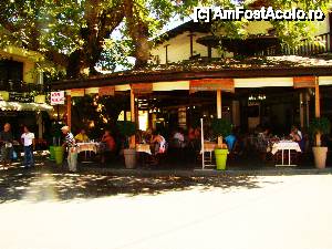 [P03] Taverna Platanos din Panagia.  » foto by Juno
 - 
<span class="allrVoted glyphicon glyphicon-heart hidden" id="av453420"></span>
<a class="m-l-10 hidden" id="sv453420" onclick="voting_Foto_DelVot(,453420,6854)" role="button">șterge vot <span class="glyphicon glyphicon-remove"></span></a>
<a id="v9453420" class=" c-red"  onclick="voting_Foto_SetVot(453420)" role="button"><span class="glyphicon glyphicon-heart-empty"></span> <b>LIKE</b> = Votează poza</a> <img class="hidden"  id="f453420W9" src="/imagini/loader.gif" border="0" /><span class="AjErrMes hidden" id="e453420ErM"></span>