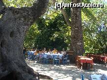 [P10] Pranz la Taverna Andreas » foto by irinuca*
 - 
<span class="allrVoted glyphicon glyphicon-heart hidden" id="av149981"></span>
<a class="m-l-10 hidden" id="sv149981" onclick="voting_Foto_DelVot(,149981,6854)" role="button">șterge vot <span class="glyphicon glyphicon-remove"></span></a>
<a id="v9149981" class=" c-red"  onclick="voting_Foto_SetVot(149981)" role="button"><span class="glyphicon glyphicon-heart-empty"></span> <b>LIKE</b> = Votează poza</a> <img class="hidden"  id="f149981W9" src="/imagini/loader.gif" border="0" /><span class="AjErrMes hidden" id="e149981ErM"></span>