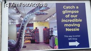 [P31] Am aruncat o privire » foto by k-lator
 - 
<span class="allrVoted glyphicon glyphicon-heart hidden" id="av1501578"></span>
<a class="m-l-10 hidden" id="sv1501578" onclick="voting_Foto_DelVot(,1501578,6898)" role="button">șterge vot <span class="glyphicon glyphicon-remove"></span></a>
<a id="v91501578" class=" c-red"  onclick="voting_Foto_SetVot(1501578)" role="button"><span class="glyphicon glyphicon-heart-empty"></span> <b>LIKE</b> = Votează poza</a> <img class="hidden"  id="f1501578W9" src="/imagini/loader.gif" border="0" /><span class="AjErrMes hidden" id="e1501578ErM"></span>