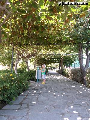 [P11] Alea cu kiwi, aflata intre splash si terenul de tenis.  » foto by Iliescui
 - 
<span class="allrVoted glyphicon glyphicon-heart hidden" id="av604554"></span>
<a class="m-l-10 hidden" id="sv604554" onclick="voting_Foto_DelVot(,604554,6960)" role="button">șterge vot <span class="glyphicon glyphicon-remove"></span></a>
<a id="v9604554" class=" c-red"  onclick="voting_Foto_SetVot(604554)" role="button"><span class="glyphicon glyphicon-heart-empty"></span> <b>LIKE</b> = Votează poza</a> <img class="hidden"  id="f604554W9" src="/imagini/loader.gif" border="0" /><span class="AjErrMes hidden" id="e604554ErM"></span>