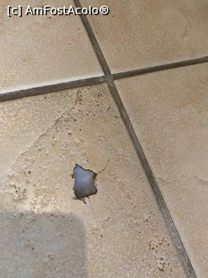 [P12]  -- <small>// FĂRĂ DESCRIERE</small> » foto by adi@simo
 - 
<span class="allrVoted glyphicon glyphicon-heart hidden" id="av1233790"></span>
<a class="m-l-10 hidden" id="sv1233790" onclick="voting_Foto_DelVot(,1233790,6960)" role="button">șterge vot <span class="glyphicon glyphicon-remove"></span></a>
<a id="v91233790" class=" c-red"  onclick="voting_Foto_SetVot(1233790)" role="button"><span class="glyphicon glyphicon-heart-empty"></span> <b>LIKE</b> = Votează poza</a> <img class="hidden"  id="f1233790W9" src="/imagini/loader.gif" border="0" /><span class="AjErrMes hidden" id="e1233790ErM"></span>