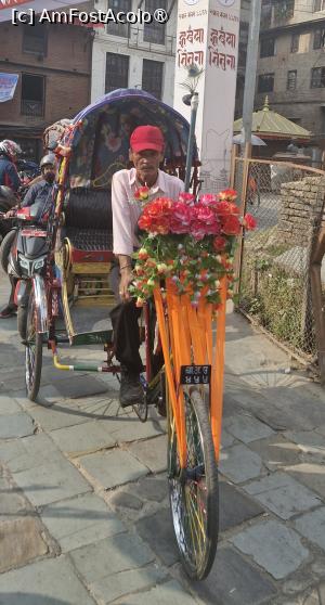 [P19] Jaipur - Una dintre cele mai împodobite ricșe. » foto by iulianic
 - 
<span class="allrVoted glyphicon glyphicon-heart hidden" id="av1465747"></span>
<a class="m-l-10 hidden" id="sv1465747" onclick="voting_Foto_DelVot(,1465747,7099)" role="button">șterge vot <span class="glyphicon glyphicon-remove"></span></a>
<a id="v91465747" class=" c-red"  onclick="voting_Foto_SetVot(1465747)" role="button"><span class="glyphicon glyphicon-heart-empty"></span> <b>LIKE</b> = Votează poza</a> <img class="hidden"  id="f1465747W9" src="/imagini/loader.gif" border="0" /><span class="AjErrMes hidden" id="e1465747ErM"></span>