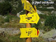 [P09] Indicatoare catre traseele din zona , anostru e cel mai scurt » foto by ionescunic
 - 
<span class="allrVoted glyphicon glyphicon-heart hidden" id="av130878"></span>
<a class="m-l-10 hidden" id="sv130878" onclick="voting_Foto_DelVot(,130878,7111)" role="button">șterge vot <span class="glyphicon glyphicon-remove"></span></a>
<a id="v9130878" class=" c-red"  onclick="voting_Foto_SetVot(130878)" role="button"><span class="glyphicon glyphicon-heart-empty"></span> <b>LIKE</b> = Votează poza</a> <img class="hidden"  id="f130878W9" src="/imagini/loader.gif" border="0" /><span class="AjErrMes hidden" id="e130878ErM"></span>