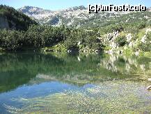 [P58] Unul din lacurile glaciare » foto by ionescunic
 - 
<span class="allrVoted glyphicon glyphicon-heart hidden" id="av177135"></span>
<a class="m-l-10 hidden" id="sv177135" onclick="voting_Foto_DelVot(,177135,7111)" role="button">șterge vot <span class="glyphicon glyphicon-remove"></span></a>
<a id="v9177135" class=" c-red"  onclick="voting_Foto_SetVot(177135)" role="button"><span class="glyphicon glyphicon-heart-empty"></span> <b>LIKE</b> = Votează poza</a> <img class="hidden"  id="f177135W9" src="/imagini/loader.gif" border="0" /><span class="AjErrMes hidden" id="e177135ErM"></span>