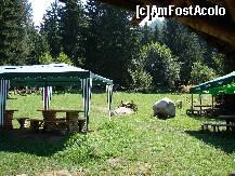 [P19] picnic » foto by ceasornicarul
 - 
<span class="allrVoted glyphicon glyphicon-heart hidden" id="av152440"></span>
<a class="m-l-10 hidden" id="sv152440" onclick="voting_Foto_DelVot(,152440,7111)" role="button">șterge vot <span class="glyphicon glyphicon-remove"></span></a>
<a id="v9152440" class=" c-red"  onclick="voting_Foto_SetVot(152440)" role="button"><span class="glyphicon glyphicon-heart-empty"></span> <b>LIKE</b> = Votează poza</a> <img class="hidden"  id="f152440W9" src="/imagini/loader.gif" border="0" /><span class="AjErrMes hidden" id="e152440ErM"></span>