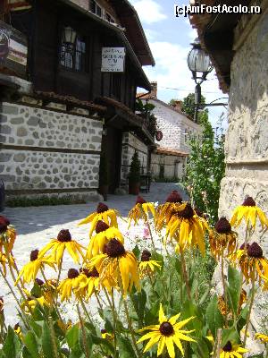 [P04] Orasul vechi-Bansko » foto by Testosu'
 - 
<span class="allrVoted glyphicon glyphicon-heart hidden" id="av666581"></span>
<a class="m-l-10 hidden" id="sv666581" onclick="voting_Foto_DelVot(,666581,7111)" role="button">șterge vot <span class="glyphicon glyphicon-remove"></span></a>
<a id="v9666581" class=" c-red"  onclick="voting_Foto_SetVot(666581)" role="button"><span class="glyphicon glyphicon-heart-empty"></span> <b>LIKE</b> = Votează poza</a> <img class="hidden"  id="f666581W9" src="/imagini/loader.gif" border="0" /><span class="AjErrMes hidden" id="e666581ErM"></span>
