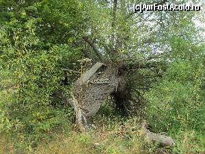 [P41] Pe poteca spre Paraclisul Sf. Gheorghe, in Kovachevitsa » foto by Testosu'
 - 
<span class="allrVoted glyphicon glyphicon-heart hidden" id="av666636"></span>
<a class="m-l-10 hidden" id="sv666636" onclick="voting_Foto_DelVot(,666636,7111)" role="button">șterge vot <span class="glyphicon glyphicon-remove"></span></a>
<a id="v9666636" class=" c-red"  onclick="voting_Foto_SetVot(666636)" role="button"><span class="glyphicon glyphicon-heart-empty"></span> <b>LIKE</b> = Votează poza</a> <img class="hidden"  id="f666636W9" src="/imagini/loader.gif" border="0" /><span class="AjErrMes hidden" id="e666636ErM"></span>