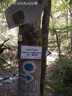 [P04] până ajungem la cascada Vălul Miresei din Bihor.  » foto by ioana5
 - 
<span class="allrVoted glyphicon glyphicon-heart hidden" id="av1008931"></span>
<a class="m-l-10 hidden" id="sv1008931" onclick="voting_Foto_DelVot(,1008931,7135)" role="button">șterge vot <span class="glyphicon glyphicon-remove"></span></a>
<a id="v91008931" class=" c-red"  onclick="voting_Foto_SetVot(1008931)" role="button"><span class="glyphicon glyphicon-heart-empty"></span> <b>LIKE</b> = Votează poza</a> <img class="hidden"  id="f1008931W9" src="/imagini/loader.gif" border="0" /><span class="AjErrMes hidden" id="e1008931ErM"></span>