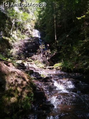 [P06] iar noi urcăm să fotografiem cascada mai de aproape.  » foto by ioana5
 - 
<span class="allrVoted glyphicon glyphicon-heart hidden" id="av1008933"></span>
<a class="m-l-10 hidden" id="sv1008933" onclick="voting_Foto_DelVot(,1008933,7135)" role="button">șterge vot <span class="glyphicon glyphicon-remove"></span></a>
<a id="v91008933" class=" c-red"  onclick="voting_Foto_SetVot(1008933)" role="button"><span class="glyphicon glyphicon-heart-empty"></span> <b>LIKE</b> = Votează poza</a> <img class="hidden"  id="f1008933W9" src="/imagini/loader.gif" border="0" /><span class="AjErrMes hidden" id="e1008933ErM"></span>