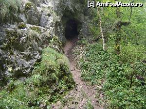 [P12] In Cheile Galbenei-Padis/Cetatile Ponorului » foto by Testosu'
 - 
<span class="allrVoted glyphicon glyphicon-heart hidden" id="av615785"></span>
<a class="m-l-10 hidden" id="sv615785" onclick="voting_Foto_DelVot(,615785,7135)" role="button">șterge vot <span class="glyphicon glyphicon-remove"></span></a>
<a id="v9615785" class=" c-red"  onclick="voting_Foto_SetVot(615785)" role="button"><span class="glyphicon glyphicon-heart-empty"></span> <b>LIKE</b> = Votează poza</a> <img class="hidden"  id="f615785W9" src="/imagini/loader.gif" border="0" /><span class="AjErrMes hidden" id="e615785ErM"></span>