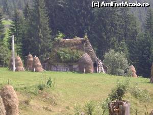 [P24] In catunul Casa de Piatra » foto by Testosu'
 - 
<span class="allrVoted glyphicon glyphicon-heart hidden" id="av615805"></span>
<a class="m-l-10 hidden" id="sv615805" onclick="voting_Foto_DelVot(,615805,7135)" role="button">șterge vot <span class="glyphicon glyphicon-remove"></span></a>
<a id="v9615805" class=" c-red"  onclick="voting_Foto_SetVot(615805)" role="button"><span class="glyphicon glyphicon-heart-empty"></span> <b>LIKE</b> = Votează poza</a> <img class="hidden"  id="f615805W9" src="/imagini/loader.gif" border="0" /><span class="AjErrMes hidden" id="e615805ErM"></span>