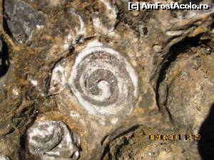 [P43] Dealul cu Melci » foto by Testosu'
 - 
<span class="allrVoted glyphicon glyphicon-heart hidden" id="av615833"></span>
<a class="m-l-10 hidden" id="sv615833" onclick="voting_Foto_DelVot(,615833,7135)" role="button">șterge vot <span class="glyphicon glyphicon-remove"></span></a>
<a id="v9615833" class=" c-red"  onclick="voting_Foto_SetVot(615833)" role="button"><span class="glyphicon glyphicon-heart-empty"></span> <b>LIKE</b> = Votează poza</a> <img class="hidden"  id="f615833W9" src="/imagini/loader.gif" border="0" /><span class="AjErrMes hidden" id="e615833ErM"></span>