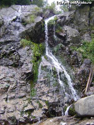[P06] Cascada Varciorog-Arieseni » foto by Testosu'
 - 
<span class="allrVoted glyphicon glyphicon-heart hidden" id="av615775"></span>
<a class="m-l-10 hidden" id="sv615775" onclick="voting_Foto_DelVot(,615775,7135)" role="button">șterge vot <span class="glyphicon glyphicon-remove"></span></a>
<a id="v9615775" class=" c-red"  onclick="voting_Foto_SetVot(615775)" role="button"><span class="glyphicon glyphicon-heart-empty"></span> <b>LIKE</b> = Votează poza</a> <img class="hidden"  id="f615775W9" src="/imagini/loader.gif" border="0" /><span class="AjErrMes hidden" id="e615775ErM"></span>