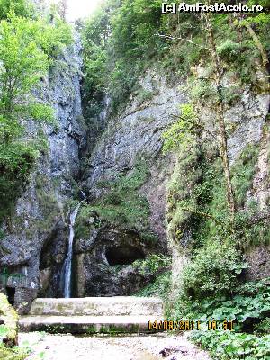 [P62] Cascada Oselu- Boga » foto by Testosu'
 - 
<span class="allrVoted glyphicon glyphicon-heart hidden" id="av615856"></span>
<a class="m-l-10 hidden" id="sv615856" onclick="voting_Foto_DelVot(,615856,7135)" role="button">șterge vot <span class="glyphicon glyphicon-remove"></span></a>
<a id="v9615856" class=" c-red"  onclick="voting_Foto_SetVot(615856)" role="button"><span class="glyphicon glyphicon-heart-empty"></span> <b>LIKE</b> = Votează poza</a> <img class="hidden"  id="f615856W9" src="/imagini/loader.gif" border="0" /><span class="AjErrMes hidden" id="e615856ErM"></span>