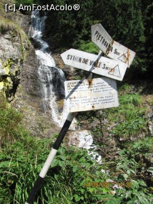 [P18] Saritoarea Bohodei » foto by Testosu'
 - 
<span class="allrVoted glyphicon glyphicon-heart hidden" id="av834733"></span>
<a class="m-l-10 hidden" id="sv834733" onclick="voting_Foto_DelVot(,834733,7135)" role="button">șterge vot <span class="glyphicon glyphicon-remove"></span></a>
<a id="v9834733" class=" c-red"  onclick="voting_Foto_SetVot(834733)" role="button"><span class="glyphicon glyphicon-heart-empty"></span> <b>LIKE</b> = Votează poza</a> <img class="hidden"  id="f834733W9" src="/imagini/loader.gif" border="0" /><span class="AjErrMes hidden" id="e834733ErM"></span>