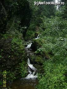 [P07] o mica cadere de apa care se afla la inceputul traseului spre cascada iedutului » foto by petrus95
 - 
<span class="allrVoted glyphicon glyphicon-heart hidden" id="av98934"></span>
<a class="m-l-10 hidden" id="sv98934" onclick="voting_Foto_DelVot(,98934,7135)" role="button">șterge vot <span class="glyphicon glyphicon-remove"></span></a>
<a id="v998934" class=" c-red"  onclick="voting_Foto_SetVot(98934)" role="button"><span class="glyphicon glyphicon-heart-empty"></span> <b>LIKE</b> = Votează poza</a> <img class="hidden"  id="f98934W9" src="/imagini/loader.gif" border="0" /><span class="AjErrMes hidden" id="e98934ErM"></span>