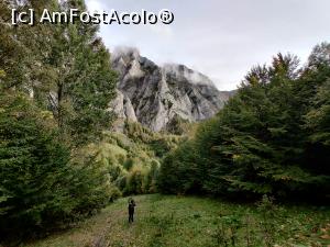 [P04] Traseul turistic circuitul Scărița - Belioara, Muntele Mare, Jud. Alba » foto by Dana2008
 - 
<span class="allrVoted glyphicon glyphicon-heart hidden" id="av1196425"></span>
<a class="m-l-10 hidden" id="sv1196425" onclick="voting_Foto_DelVot(,1196425,7135)" role="button">șterge vot <span class="glyphicon glyphicon-remove"></span></a>
<a id="v91196425" class=" c-red"  onclick="voting_Foto_SetVot(1196425)" role="button"><span class="glyphicon glyphicon-heart-empty"></span> <b>LIKE</b> = Votează poza</a> <img class="hidden"  id="f1196425W9" src="/imagini/loader.gif" border="0" /><span class="AjErrMes hidden" id="e1196425ErM"></span>
