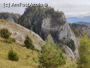 [P07] Traseul turistic circuitul Scărița - Belioara, Muntele Mare, Jud. Alba » foto by Dana2008
 - 
<span class="allrVoted glyphicon glyphicon-heart hidden" id="av1196432"></span>
<a class="m-l-10 hidden" id="sv1196432" onclick="voting_Foto_DelVot(,1196432,7135)" role="button">șterge vot <span class="glyphicon glyphicon-remove"></span></a>
<a id="v91196432" class=" c-red"  onclick="voting_Foto_SetVot(1196432)" role="button"><span class="glyphicon glyphicon-heart-empty"></span> <b>LIKE</b> = Votează poza</a> <img class="hidden"  id="f1196432W9" src="/imagini/loader.gif" border="0" /><span class="AjErrMes hidden" id="e1196432ErM"></span>