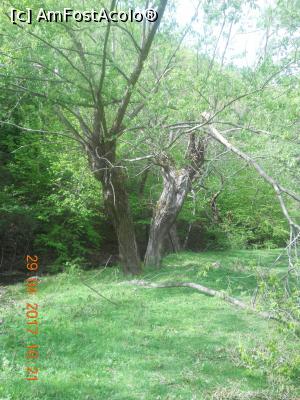 [P14] ˝Vântul prin sălcii˝-parcă e numele unui roman » foto by zlatna
 - 
<span class="allrVoted glyphicon glyphicon-heart hidden" id="av853370"></span>
<a class="m-l-10 hidden" id="sv853370" onclick="voting_Foto_DelVot(,853370,7135)" role="button">șterge vot <span class="glyphicon glyphicon-remove"></span></a>
<a id="v9853370" class=" c-red"  onclick="voting_Foto_SetVot(853370)" role="button"><span class="glyphicon glyphicon-heart-empty"></span> <b>LIKE</b> = Votează poza</a> <img class="hidden"  id="f853370W9" src="/imagini/loader.gif" border="0" /><span class="AjErrMes hidden" id="e853370ErM"></span>