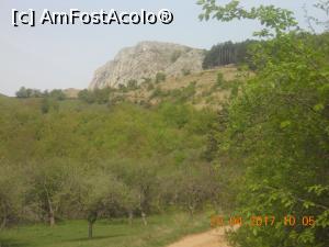 [P07] suntem în livada cu meri, păcat că le-a căzut floarea » foto by zlatna
 - 
<span class="allrVoted glyphicon glyphicon-heart hidden" id="av853363"></span>
<a class="m-l-10 hidden" id="sv853363" onclick="voting_Foto_DelVot(,853363,7135)" role="button">șterge vot <span class="glyphicon glyphicon-remove"></span></a>
<a id="v9853363" class=" c-red"  onclick="voting_Foto_SetVot(853363)" role="button"><span class="glyphicon glyphicon-heart-empty"></span> <b>LIKE</b> = Votează poza</a> <img class="hidden"  id="f853363W9" src="/imagini/loader.gif" border="0" /><span class="AjErrMes hidden" id="e853363ErM"></span>