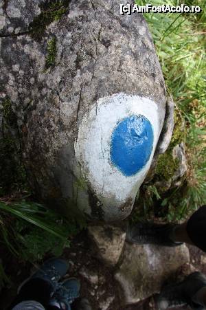 [P15] Ciclopul » foto by costin.calin
 - 
<span class="allrVoted glyphicon glyphicon-heart hidden" id="av509365"></span>
<a class="m-l-10 hidden" id="sv509365" onclick="voting_Foto_DelVot(,509365,7135)" role="button">șterge vot <span class="glyphicon glyphicon-remove"></span></a>
<a id="v9509365" class=" c-red"  onclick="voting_Foto_SetVot(509365)" role="button"><span class="glyphicon glyphicon-heart-empty"></span> <b>LIKE</b> = Votează poza</a> <img class="hidden"  id="f509365W9" src="/imagini/loader.gif" border="0" /><span class="AjErrMes hidden" id="e509365ErM"></span>