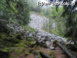 [P07] Pietre desprinse din Detunata Golasa » foto by Cristofor
 - 
<span class="allrVoted glyphicon glyphicon-heart hidden" id="av679671"></span>
<a class="m-l-10 hidden" id="sv679671" onclick="voting_Foto_DelVot(,679671,7135)" role="button">șterge vot <span class="glyphicon glyphicon-remove"></span></a>
<a id="v9679671" class=" c-red"  onclick="voting_Foto_SetVot(679671)" role="button"><span class="glyphicon glyphicon-heart-empty"></span> <b>LIKE</b> = Votează poza</a> <img class="hidden"  id="f679671W9" src="/imagini/loader.gif" border="0" /><span class="AjErrMes hidden" id="e679671ErM"></span>