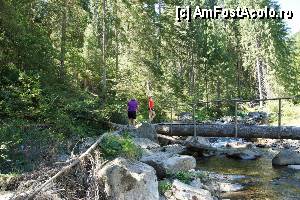 [P01] 'Găletuşele' Craiului - Cascada Căldărilor  / Puntea peste Sebeşel. De aici se porneşte pe pârâu în sus spre cascadă.  » foto by Utube
 - 
<span class="allrVoted glyphicon glyphicon-heart hidden" id="av369466"></span>
<a class="m-l-10 hidden" id="sv369466" onclick="voting_Foto_DelVot(,369466,7135)" role="button">șterge vot <span class="glyphicon glyphicon-remove"></span></a>
<a id="v9369466" class=" c-red"  onclick="voting_Foto_SetVot(369466)" role="button"><span class="glyphicon glyphicon-heart-empty"></span> <b>LIKE</b> = Votează poza</a> <img class="hidden"  id="f369466W9" src="/imagini/loader.gif" border="0" /><span class="AjErrMes hidden" id="e369466ErM"></span>