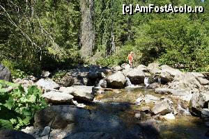 [P10] 'Găletuşele' Craiului - Cascada Căldărilor  / O altă fotografie cu 'părul vrăjitoarei' în spate.  » foto by Utube
 - 
<span class="allrVoted glyphicon glyphicon-heart hidden" id="av369475"></span>
<a class="m-l-10 hidden" id="sv369475" onclick="voting_Foto_DelVot(,369475,7135)" role="button">șterge vot <span class="glyphicon glyphicon-remove"></span></a>
<a id="v9369475" class=" c-red"  onclick="voting_Foto_SetVot(369475)" role="button"><span class="glyphicon glyphicon-heart-empty"></span> <b>LIKE</b> = Votează poza</a> <img class="hidden"  id="f369475W9" src="/imagini/loader.gif" border="0" /><span class="AjErrMes hidden" id="e369475ErM"></span>