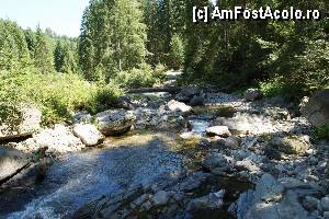 [P11] 'Găletuşele' Craiului - Cascada Căldărilor  / Vedere spre vale.  » foto by Utube
 - 
<span class="allrVoted glyphicon glyphicon-heart hidden" id="av369476"></span>
<a class="m-l-10 hidden" id="sv369476" onclick="voting_Foto_DelVot(,369476,7135)" role="button">șterge vot <span class="glyphicon glyphicon-remove"></span></a>
<a id="v9369476" class=" c-red"  onclick="voting_Foto_SetVot(369476)" role="button"><span class="glyphicon glyphicon-heart-empty"></span> <b>LIKE</b> = Votează poza</a> <img class="hidden"  id="f369476W9" src="/imagini/loader.gif" border="0" /><span class="AjErrMes hidden" id="e369476ErM"></span>