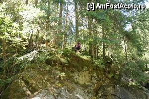 [P13] 'Găletuşele' Craiului - Cascada Căldărilor  / La Cascada Căldărilor. Fotografie realizată din 'căldare' spre malul cu drumul care este mult mai sus, cam la 10 -15 metri.  » foto by Utube
 - 
<span class="allrVoted glyphicon glyphicon-heart hidden" id="av369478"></span>
<a class="m-l-10 hidden" id="sv369478" onclick="voting_Foto_DelVot(,369478,7135)" role="button">șterge vot <span class="glyphicon glyphicon-remove"></span></a>
<a id="v9369478" class=" c-red"  onclick="voting_Foto_SetVot(369478)" role="button"><span class="glyphicon glyphicon-heart-empty"></span> <b>LIKE</b> = Votează poza</a> <img class="hidden"  id="f369478W9" src="/imagini/loader.gif" border="0" /><span class="AjErrMes hidden" id="e369478ErM"></span>