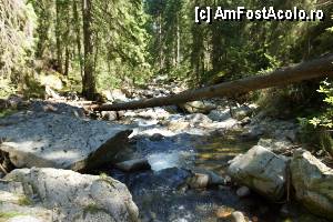 [P15] 'Găletuşele' Craiului - Cascada Căldărilor  / Vedere în aval de la cascadă. Se observă traseul plin de pietre mari.  » foto by Utube
 - 
<span class="allrVoted glyphicon glyphicon-heart hidden" id="av369480"></span>
<a class="m-l-10 hidden" id="sv369480" onclick="voting_Foto_DelVot(,369480,7135)" role="button">șterge vot <span class="glyphicon glyphicon-remove"></span></a>
<a id="v9369480" class=" c-red"  onclick="voting_Foto_SetVot(369480)" role="button"><span class="glyphicon glyphicon-heart-empty"></span> <b>LIKE</b> = Votează poza</a> <img class="hidden"  id="f369480W9" src="/imagini/loader.gif" border="0" /><span class="AjErrMes hidden" id="e369480ErM"></span>
