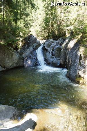 [P16] 'Găletuşele' Craiului - Cascada Căldărilor  » foto by Utube
 - 
<span class="allrVoted glyphicon glyphicon-heart hidden" id="av369481"></span>
<a class="m-l-10 hidden" id="sv369481" onclick="voting_Foto_DelVot(,369481,7135)" role="button">șterge vot <span class="glyphicon glyphicon-remove"></span></a>
<a id="v9369481" class=" c-red"  onclick="voting_Foto_SetVot(369481)" role="button"><span class="glyphicon glyphicon-heart-empty"></span> <b>LIKE</b> = Votează poza</a> <img class="hidden"  id="f369481W9" src="/imagini/loader.gif" border="0" /><span class="AjErrMes hidden" id="e369481ErM"></span>