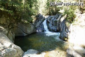 [P18] 'Găletuşele' Craiului - Cascada Căldărilor  » foto by Utube
 - 
<span class="allrVoted glyphicon glyphicon-heart hidden" id="av369483"></span>
<a class="m-l-10 hidden" id="sv369483" onclick="voting_Foto_DelVot(,369483,7135)" role="button">șterge vot <span class="glyphicon glyphicon-remove"></span></a>
<a id="v9369483" class=" c-red"  onclick="voting_Foto_SetVot(369483)" role="button"><span class="glyphicon glyphicon-heart-empty"></span> <b>LIKE</b> = Votează poza</a> <img class="hidden"  id="f369483W9" src="/imagini/loader.gif" border="0" /><span class="AjErrMes hidden" id="e369483ErM"></span>