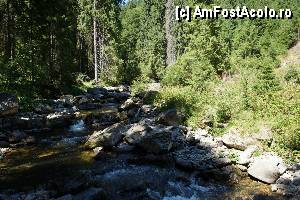 [P02] 'Găletuşele' Craiului - Cascada Căldărilor  » foto by Utube
 - 
<span class="allrVoted glyphicon glyphicon-heart hidden" id="av369467"></span>
<a class="m-l-10 hidden" id="sv369467" onclick="voting_Foto_DelVot(,369467,7135)" role="button">șterge vot <span class="glyphicon glyphicon-remove"></span></a>
<a id="v9369467" class=" c-red"  onclick="voting_Foto_SetVot(369467)" role="button"><span class="glyphicon glyphicon-heart-empty"></span> <b>LIKE</b> = Votează poza</a> <img class="hidden"  id="f369467W9" src="/imagini/loader.gif" border="0" /><span class="AjErrMes hidden" id="e369467ErM"></span>
