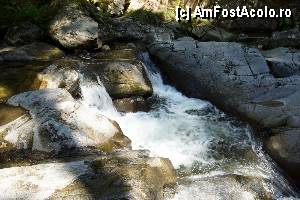 [P27] 'Găletuşele' Craiului - Cascada Căldărilor  » foto by Utube
 - 
<span class="allrVoted glyphicon glyphicon-heart hidden" id="av369498"></span>
<a class="m-l-10 hidden" id="sv369498" onclick="voting_Foto_DelVot(,369498,7135)" role="button">șterge vot <span class="glyphicon glyphicon-remove"></span></a>
<a id="v9369498" class=" c-red"  onclick="voting_Foto_SetVot(369498)" role="button"><span class="glyphicon glyphicon-heart-empty"></span> <b>LIKE</b> = Votează poza</a> <img class="hidden"  id="f369498W9" src="/imagini/loader.gif" border="0" /><span class="AjErrMes hidden" id="e369498ErM"></span>