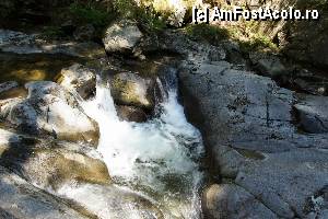 [P30] 'Găletuşele' Craiului - Cascada Căldărilor  » foto by Utube
 - 
<span class="allrVoted glyphicon glyphicon-heart hidden" id="av369511"></span>
<a class="m-l-10 hidden" id="sv369511" onclick="voting_Foto_DelVot(,369511,7135)" role="button">șterge vot <span class="glyphicon glyphicon-remove"></span></a>
<a id="v9369511" class=" c-red"  onclick="voting_Foto_SetVot(369511)" role="button"><span class="glyphicon glyphicon-heart-empty"></span> <b>LIKE</b> = Votează poza</a> <img class="hidden"  id="f369511W9" src="/imagini/loader.gif" border="0" /><span class="AjErrMes hidden" id="e369511ErM"></span>