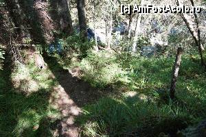 [P31] 'Găletuşele' Craiului - Cascada Căldărilor  / În stânga se vede poteca ce coboară la cascadă.  » foto by Utube
 - 
<span class="allrVoted glyphicon glyphicon-heart hidden" id="av369516"></span>
<a class="m-l-10 hidden" id="sv369516" onclick="voting_Foto_DelVot(,369516,7135)" role="button">șterge vot <span class="glyphicon glyphicon-remove"></span></a>
<a id="v9369516" class=" c-red"  onclick="voting_Foto_SetVot(369516)" role="button"><span class="glyphicon glyphicon-heart-empty"></span> <b>LIKE</b> = Votează poza</a> <img class="hidden"  id="f369516W9" src="/imagini/loader.gif" border="0" /><span class="AjErrMes hidden" id="e369516ErM"></span>