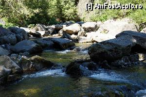 [P04] 'Găletuşele' Craiului - Cascada Căldărilor  / Pietrele destul de mari solicitau destul de serios musculatura picioarelor.  » foto by Utube
 - 
<span class="allrVoted glyphicon glyphicon-heart hidden" id="av369469"></span>
<a class="m-l-10 hidden" id="sv369469" onclick="voting_Foto_DelVot(,369469,7135)" role="button">șterge vot <span class="glyphicon glyphicon-remove"></span></a>
<a id="v9369469" class=" c-red"  onclick="voting_Foto_SetVot(369469)" role="button"><span class="glyphicon glyphicon-heart-empty"></span> <b>LIKE</b> = Votează poza</a> <img class="hidden"  id="f369469W9" src="/imagini/loader.gif" border="0" /><span class="AjErrMes hidden" id="e369469ErM"></span>