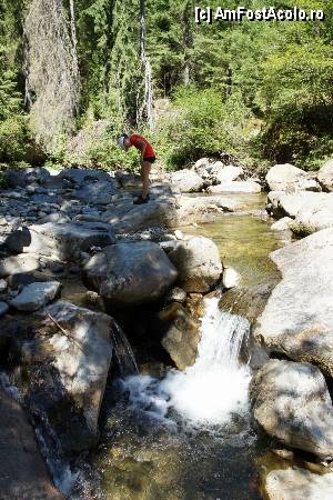[P06] 'Găletuşele' Craiului - Cascada Căldărilor  / Un 'pui' de cădere de apă într-un cadru natural foarte frumos. Observaţi salcia uscată din stânga spate asemeni unui păr de 'vrăjitoare'.  » foto by Utube
 - 
<span class="allrVoted glyphicon glyphicon-heart hidden" id="av369471"></span>
<a class="m-l-10 hidden" id="sv369471" onclick="voting_Foto_DelVot(,369471,7135)" role="button">șterge vot <span class="glyphicon glyphicon-remove"></span></a>
<a id="v9369471" class=" c-red"  onclick="voting_Foto_SetVot(369471)" role="button"><span class="glyphicon glyphicon-heart-empty"></span> <b>LIKE</b> = Votează poza</a> <img class="hidden"  id="f369471W9" src="/imagini/loader.gif" border="0" /><span class="AjErrMes hidden" id="e369471ErM"></span>