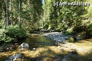 [P07] 'Găletuşele' Craiului - Cascada Căldărilor  / Debitul de apă, destul de mic din cauza secetei prelungite, scoate la iveală pietrele de pe fundul cursului de apă.  » foto by Utube
 - 
<span class="allrVoted glyphicon glyphicon-heart hidden" id="av369472"></span>
<a class="m-l-10 hidden" id="sv369472" onclick="voting_Foto_DelVot(,369472,7135)" role="button">șterge vot <span class="glyphicon glyphicon-remove"></span></a>
<a id="v9369472" class=" c-red"  onclick="voting_Foto_SetVot(369472)" role="button"><span class="glyphicon glyphicon-heart-empty"></span> <b>LIKE</b> = Votează poza</a> <img class="hidden"  id="f369472W9" src="/imagini/loader.gif" border="0" /><span class="AjErrMes hidden" id="e369472ErM"></span>