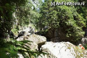 [P13] Cascada Moara Dracului / Suntem la cascadă. Aceasta este undeva în dreapta sus, printre brazi iar pentru a ajunge la ea mai avem de trecut de nişte stânci.  » foto by Utube
 - 
<span class="allrVoted glyphicon glyphicon-heart hidden" id="av372044"></span>
<a class="m-l-10 hidden" id="sv372044" onclick="voting_Foto_DelVot(,372044,7135)" role="button">șterge vot <span class="glyphicon glyphicon-remove"></span></a>
<a id="v9372044" class=" c-red"  onclick="voting_Foto_SetVot(372044)" role="button"><span class="glyphicon glyphicon-heart-empty"></span> <b>LIKE</b> = Votează poza</a> <img class="hidden"  id="f372044W9" src="/imagini/loader.gif" border="0" /><span class="AjErrMes hidden" id="e372044ErM"></span>