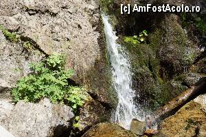 [P19] Cascada Moara Dracului » foto by Utube
 - 
<span class="allrVoted glyphicon glyphicon-heart hidden" id="av372050"></span>
<a class="m-l-10 hidden" id="sv372050" onclick="voting_Foto_DelVot(,372050,7135)" role="button">șterge vot <span class="glyphicon glyphicon-remove"></span></a>
<a id="v9372050" class=" c-red"  onclick="voting_Foto_SetVot(372050)" role="button"><span class="glyphicon glyphicon-heart-empty"></span> <b>LIKE</b> = Votează poza</a> <img class="hidden"  id="f372050W9" src="/imagini/loader.gif" border="0" /><span class="AjErrMes hidden" id="e372050ErM"></span>